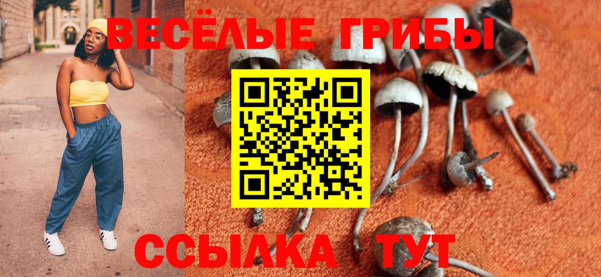 Псилоцибиновые грибы мухоморы Туймазы